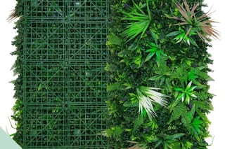 Living Walls Without the Irrigation