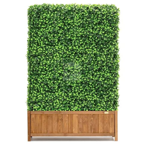 Freestanding Hedges