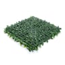 1200 Series Ligustrum Ficus Mats