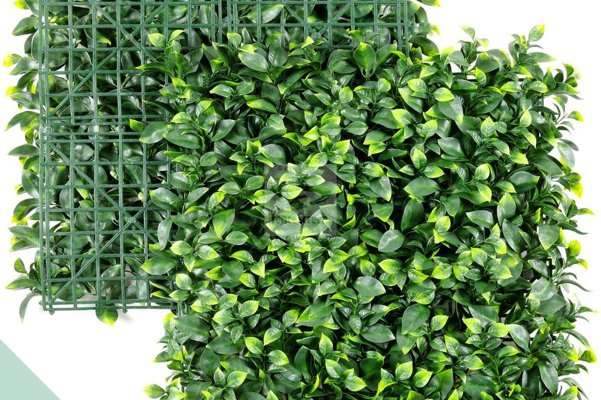 Expandable ligustrum ficus trellis panel in outdoor seating area